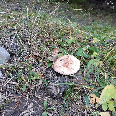Apartamento Partara Ainsa Luaran gambar